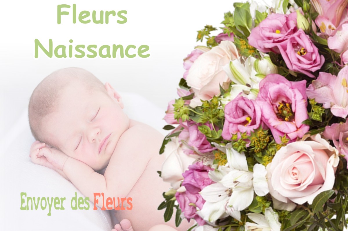 lIVRAISON FLEURS NAISSANCE à VADONVILLE